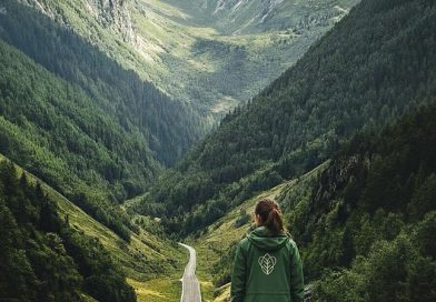 Forest Makers anticipa el auge de los créditos de carbono como activo estratégico para las empresas Forest Makers anticipa el auge de los créditos de carbono como activo estratégico para las empresas